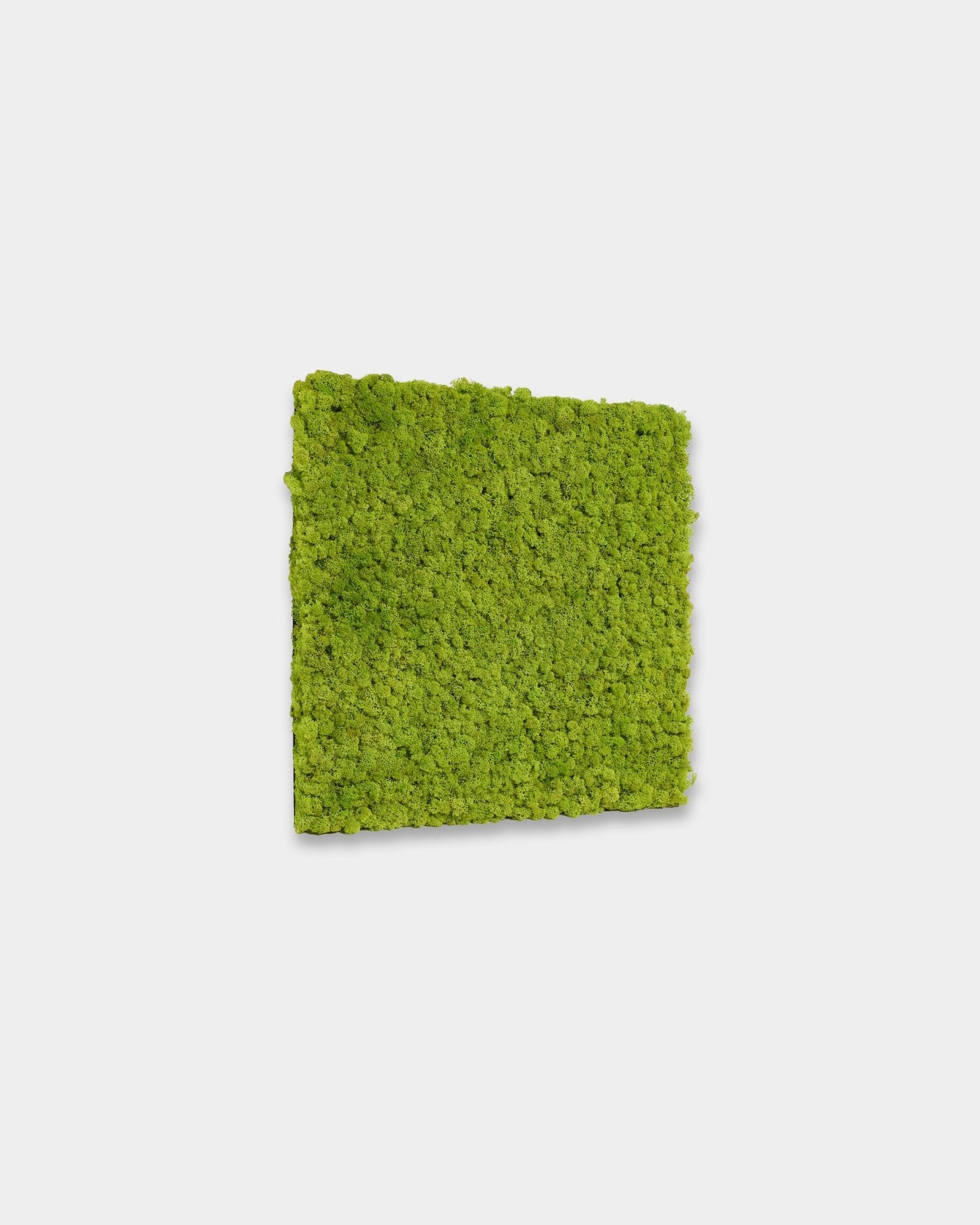 WoodUpp Akupixel Panneau acoustique en Apple Green, format 60 x 60 cm, présente des lattes vert vif sur un fond blanc uni.