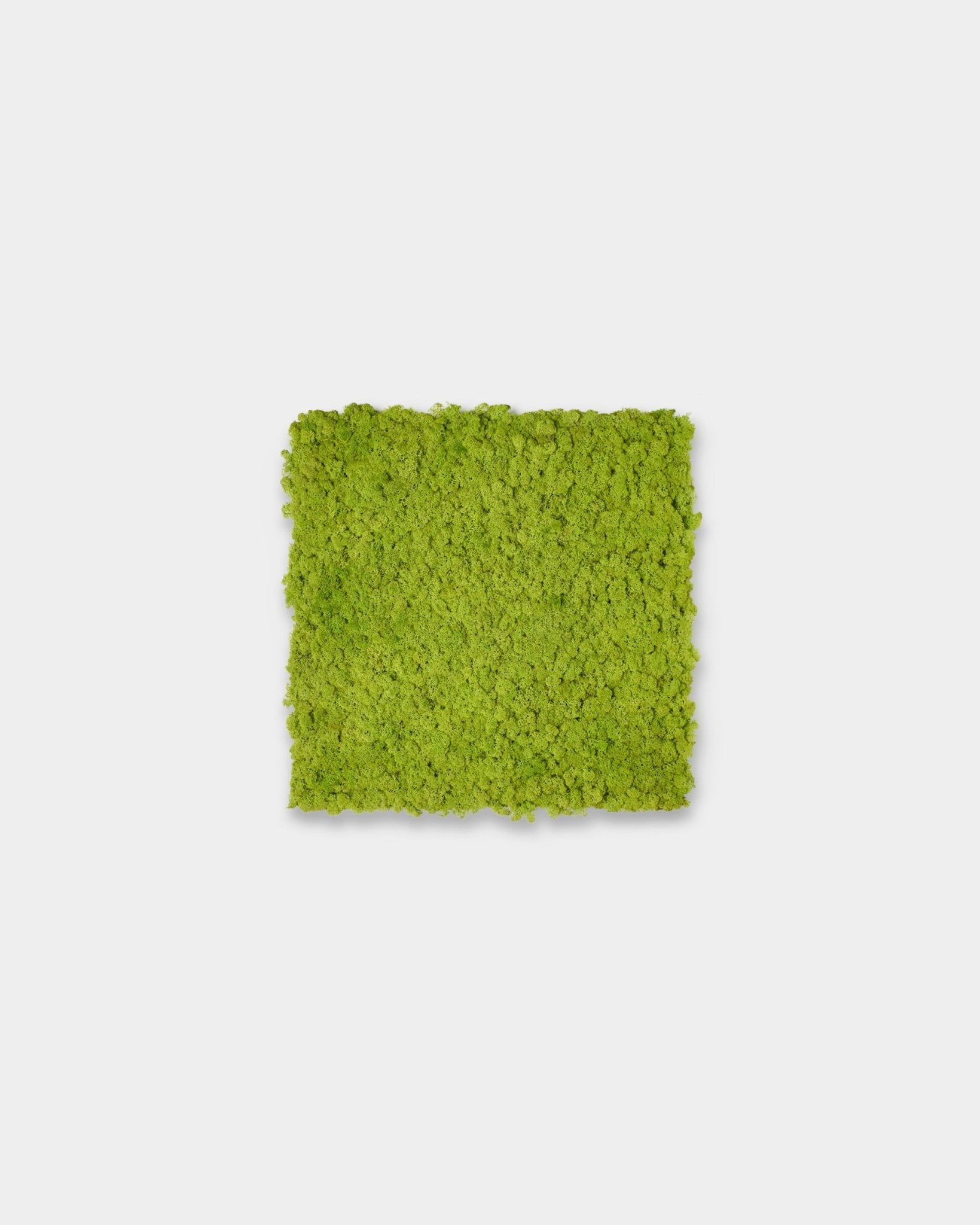 Akupixel Panneau acoustique en Apple Green, 60x60cm, par WoodUpp, présenté comme un accent carré sur un fond gris clair uni.