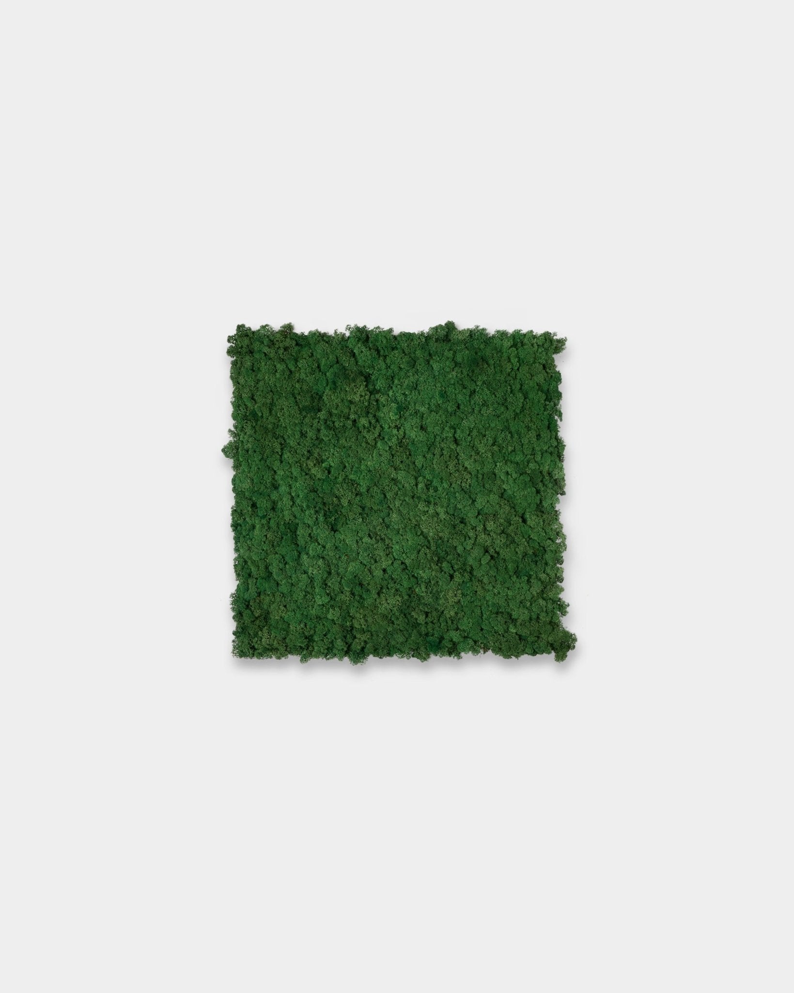WoodUpp Akupixel Panneau acoustique en Moss Green (60x60 cm), avec une surface carrée texturée, présenté sur un fond blanc uni.