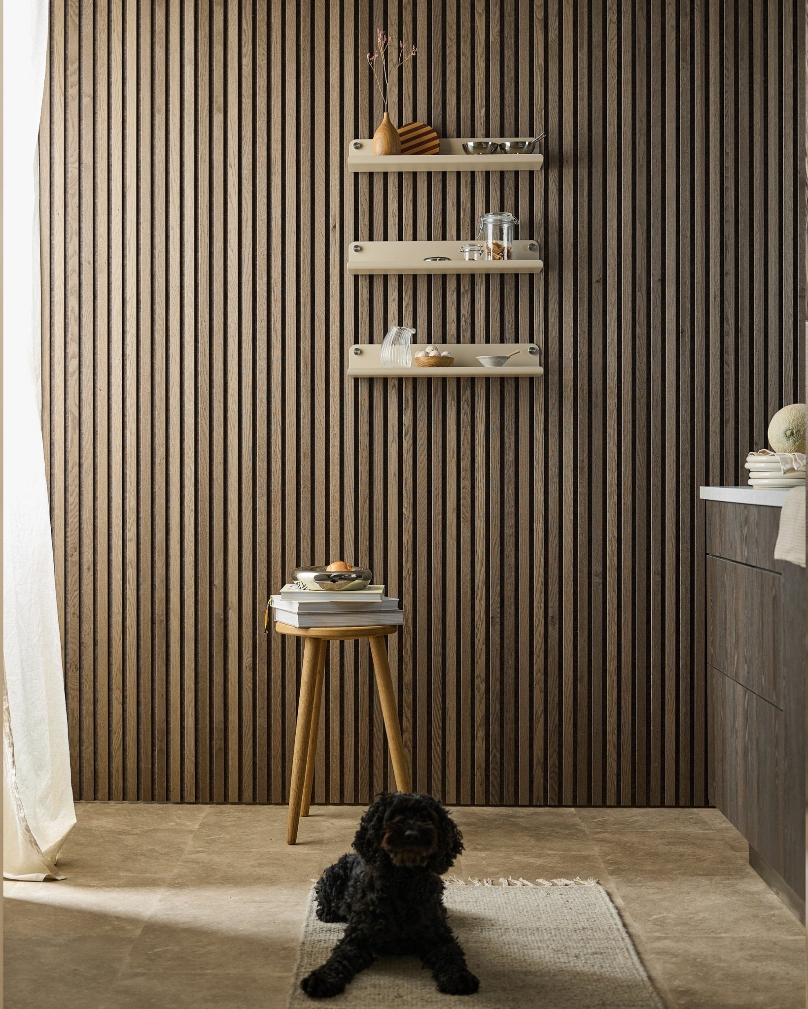 Un chien black est allongé sur un tapis dans une pièce moderne avec un mur Akupanel Panneau acoustique, l’étagère large WoodUpp Norr beige (51,9 cm), un tabouret avec des livres et une lumière douce.