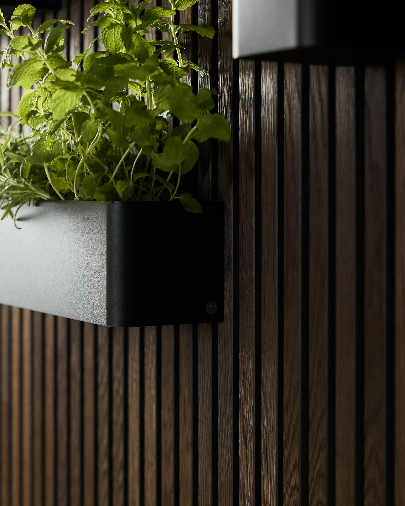 Boîte à plantes WoodUpp Black Norr (47,9 cm) en acier inoxydable steel, conçue pour les murs végétaux montés sur des panneaux acoustiques en bois foncé à lattes.